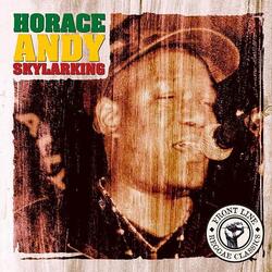 Cover for Skylarking by Horace Andy